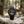 Load image into Gallery viewer, Caelum debout dans la nature
