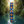 Charger l'image dans la galerie, Bracelet Congo fond jungle tropicale
