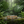Charger l'image dans la galerie, Bracelet Salween fond nature tropicale
