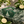 Load image into Gallery viewer, Lunettes de soleil Feijoa posées près de fruits feijoa
