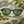 Load image into Gallery viewer, Lunettes de soleil Pistache en acétate vert bouteille dans un décor naturel

