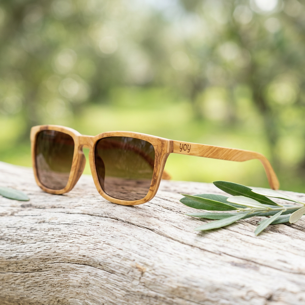 Lunettes en olivier en décor nature