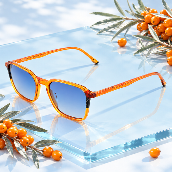 Lunettes Argouse posées près de baies d’argousier orange