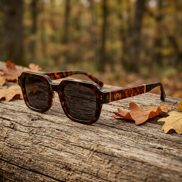 Lunettes Berlin sur du chêne parmi des feuilles d'automne
