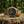 Load image into Gallery viewer, Indus mise en scène dans la nature
