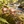 Load image into Gallery viewer, Opale en décor nature
