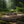 Load image into Gallery viewer, Yukon fond nature
